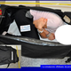 Image via Polizia di Stato.